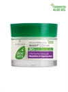 Aloe Vera Regenerating Night Cream - Natcreme